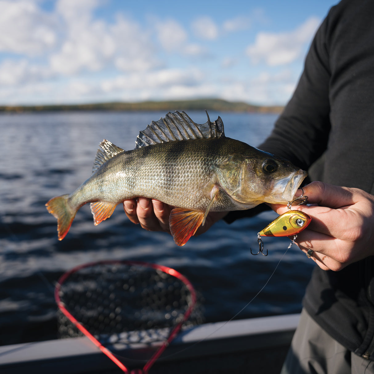 Rapala Snare 6 cm 16 g