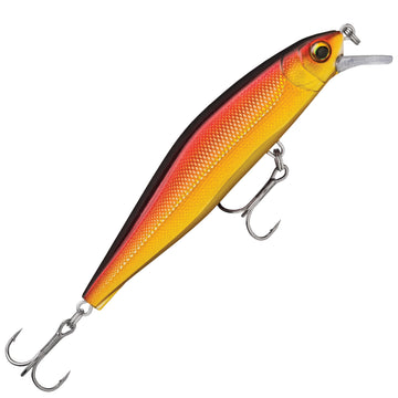 Golden Alburnus