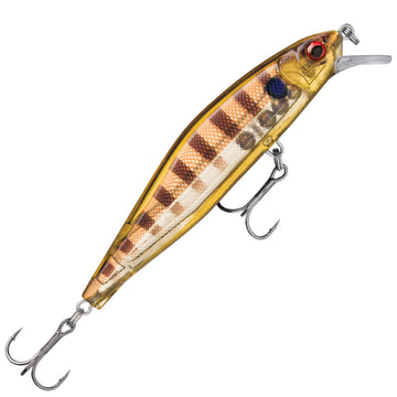 Glassy Gill UV