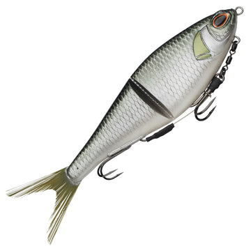 Olive Shad
