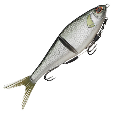 Olive Shad