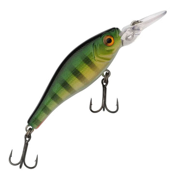 Perch