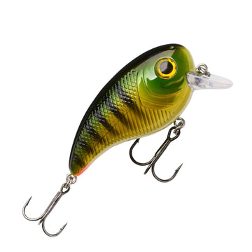 Perch