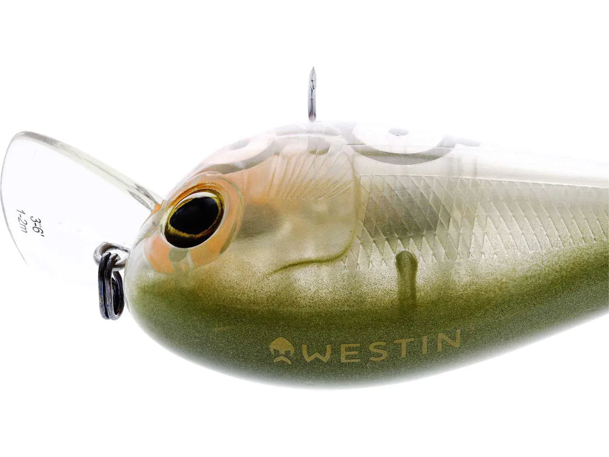Westin Bassbite Squarebill 7 cm vaappu - Happy Angler