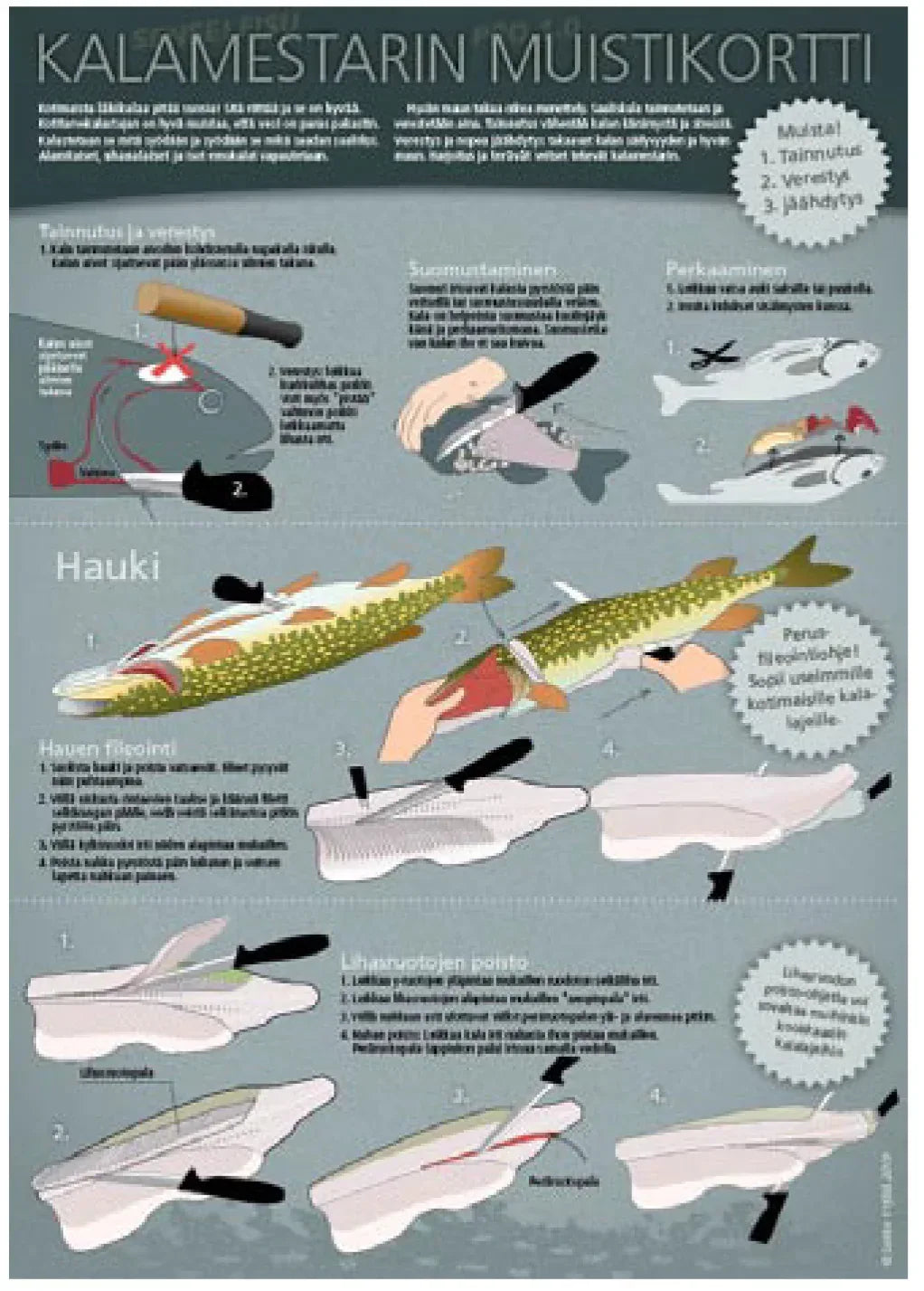 Sakke Yrjölä Kalamestarin muistikortti A4 kortti - Happy Angler