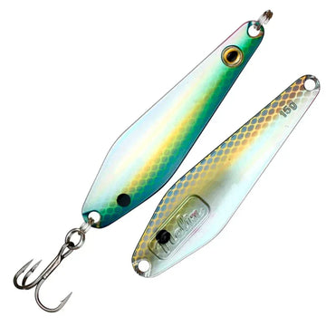 Bait Fish