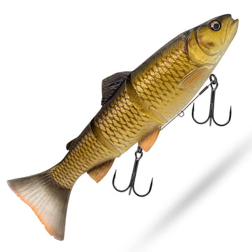 Bream