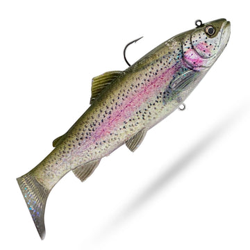 Clear Rainbow Trout