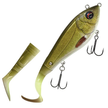 Tench