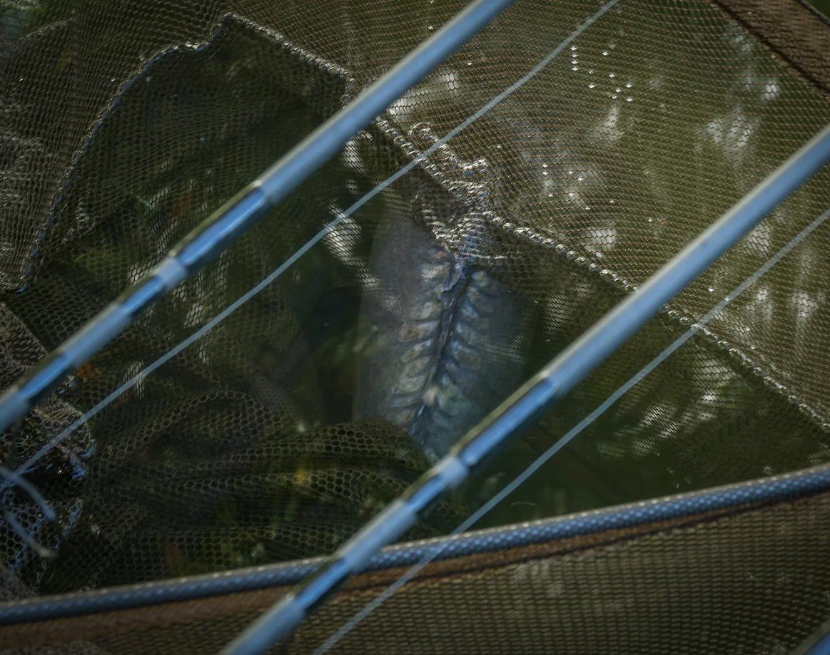 Prologic C3 Fulcrum Ridgid Framed Landing Net 42"