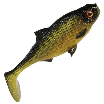 Tench