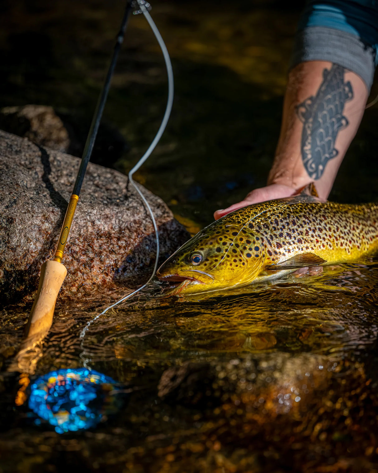 Vision Trout HERO² Fly Rod