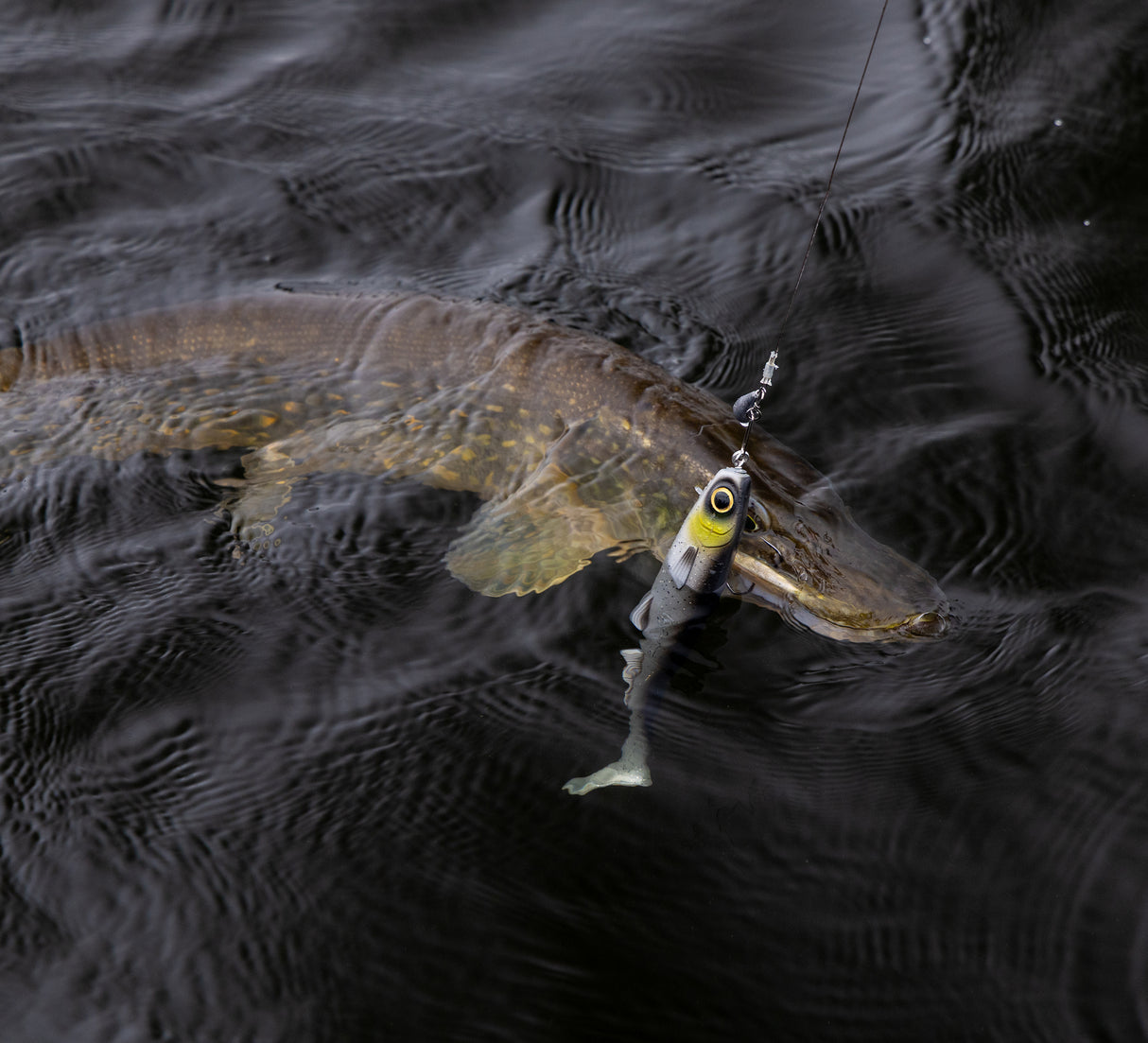 Kuore Bigfoot 22 cm jigi