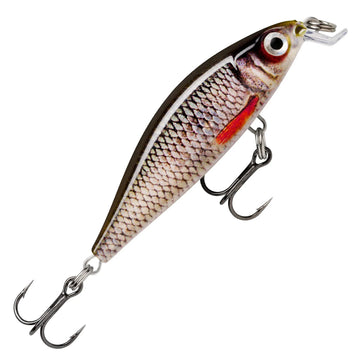 Live Roach