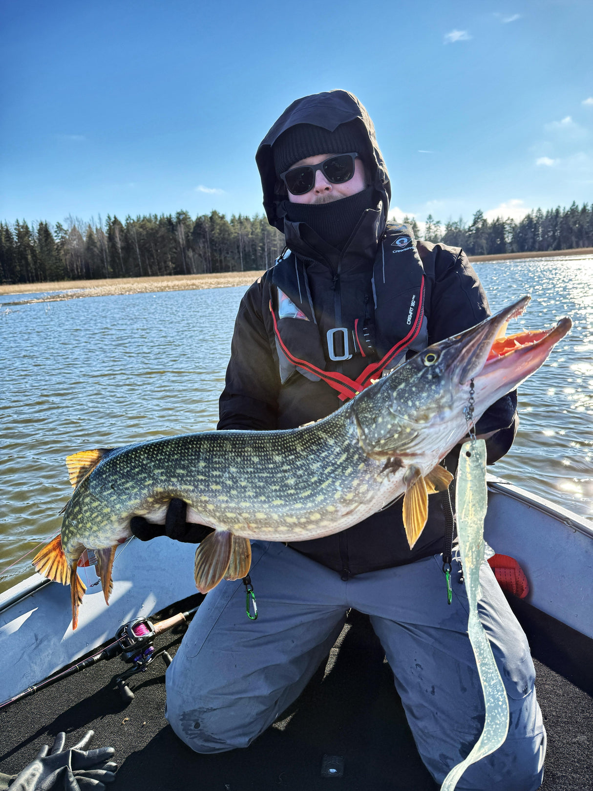 Polarbite Delta Curly Shad 47 cm 95 g jigi