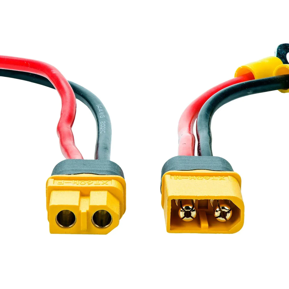 Rebelcell pikaliitinsarja kaikuluotaimelle - Happy Angler