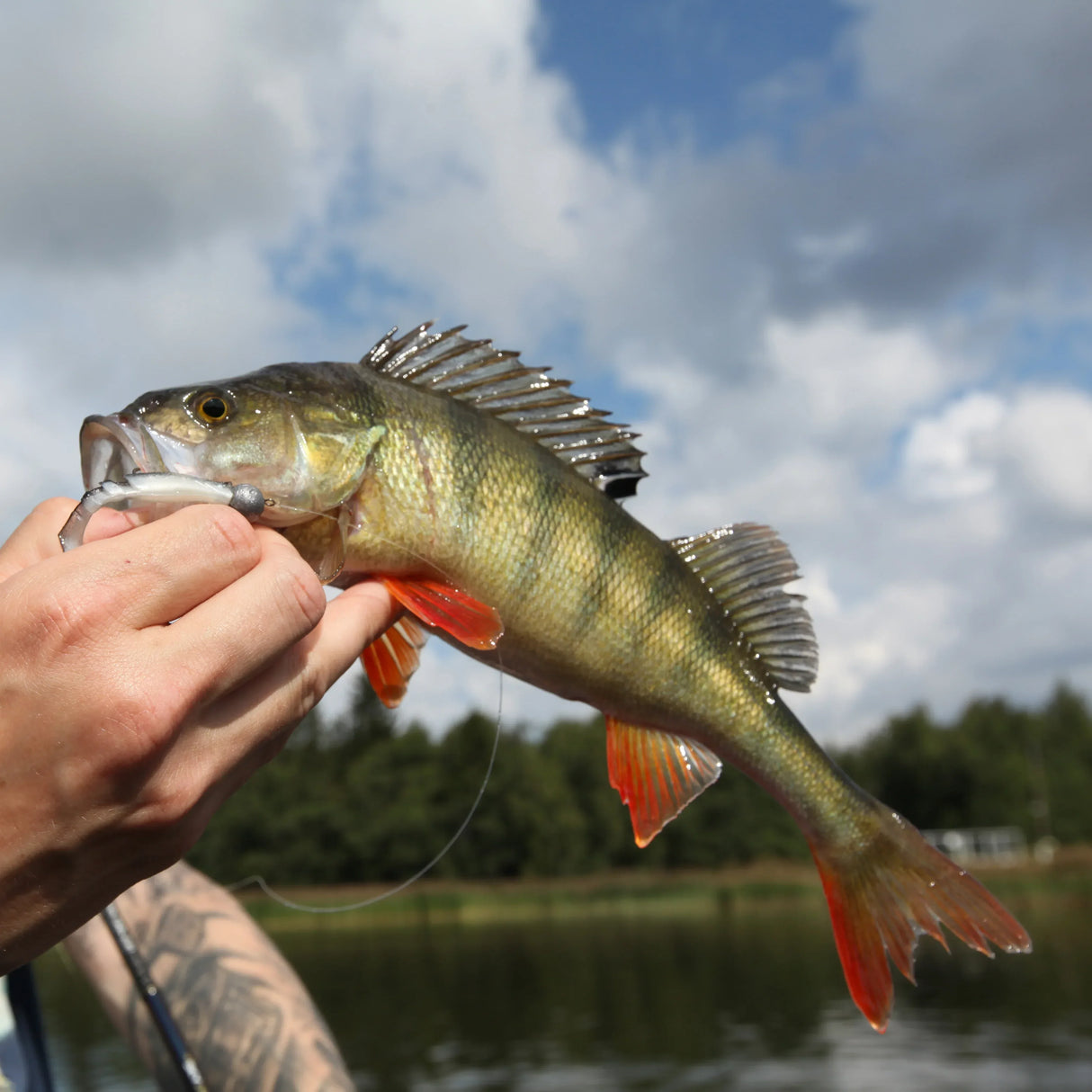 Mikado Fishunter 7 cm jigi 5 kpl/pkt - Happy Angler