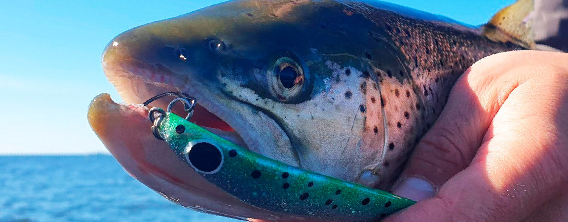 Meritaimenen kalastusta - Happy Angler