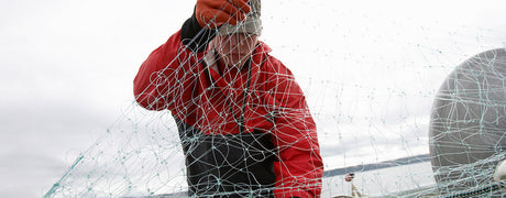 Verkkokalastus-opas: näillä vinkeillä alkuun - Happy Angler