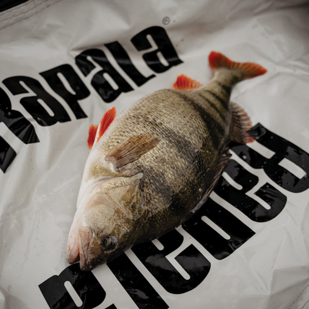 Rapala Weight & Release Mat