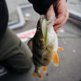 Rapala CrushCity The Jerk 18 cm jigi 3 kpl/pkt
