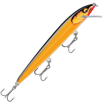 Gilded Gold Shad