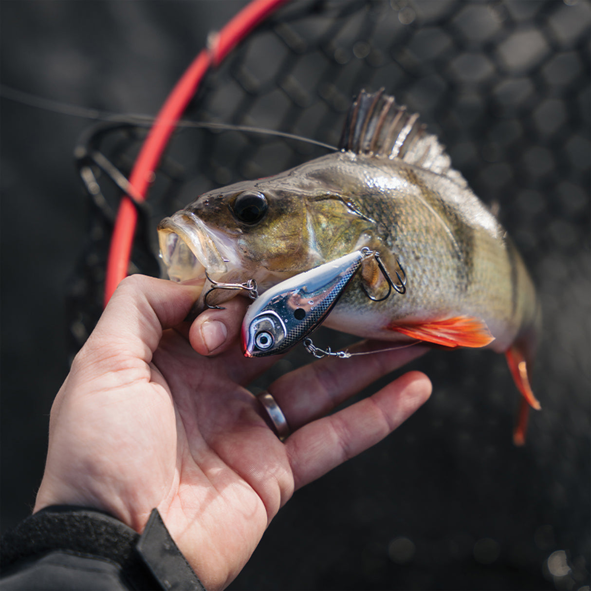 Rapala Snare 6 cm 16 g