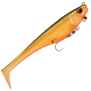Scaled Roach