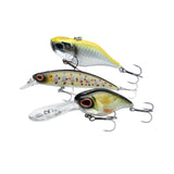 Berkley DEX Gift Box