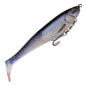 Roach