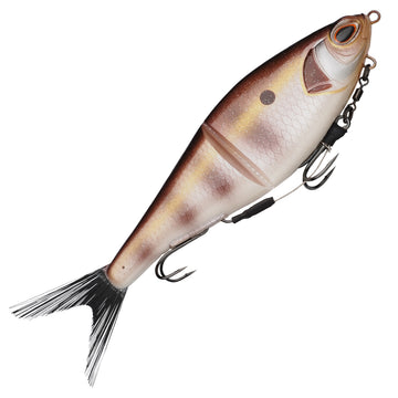 Bream