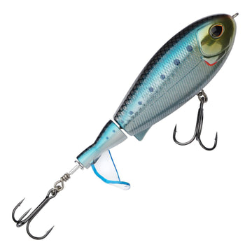 Sardine