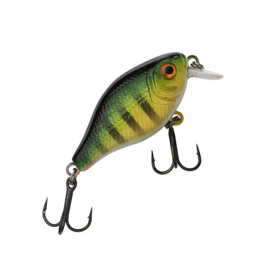 Perch
