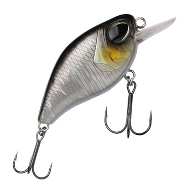 Baitfish