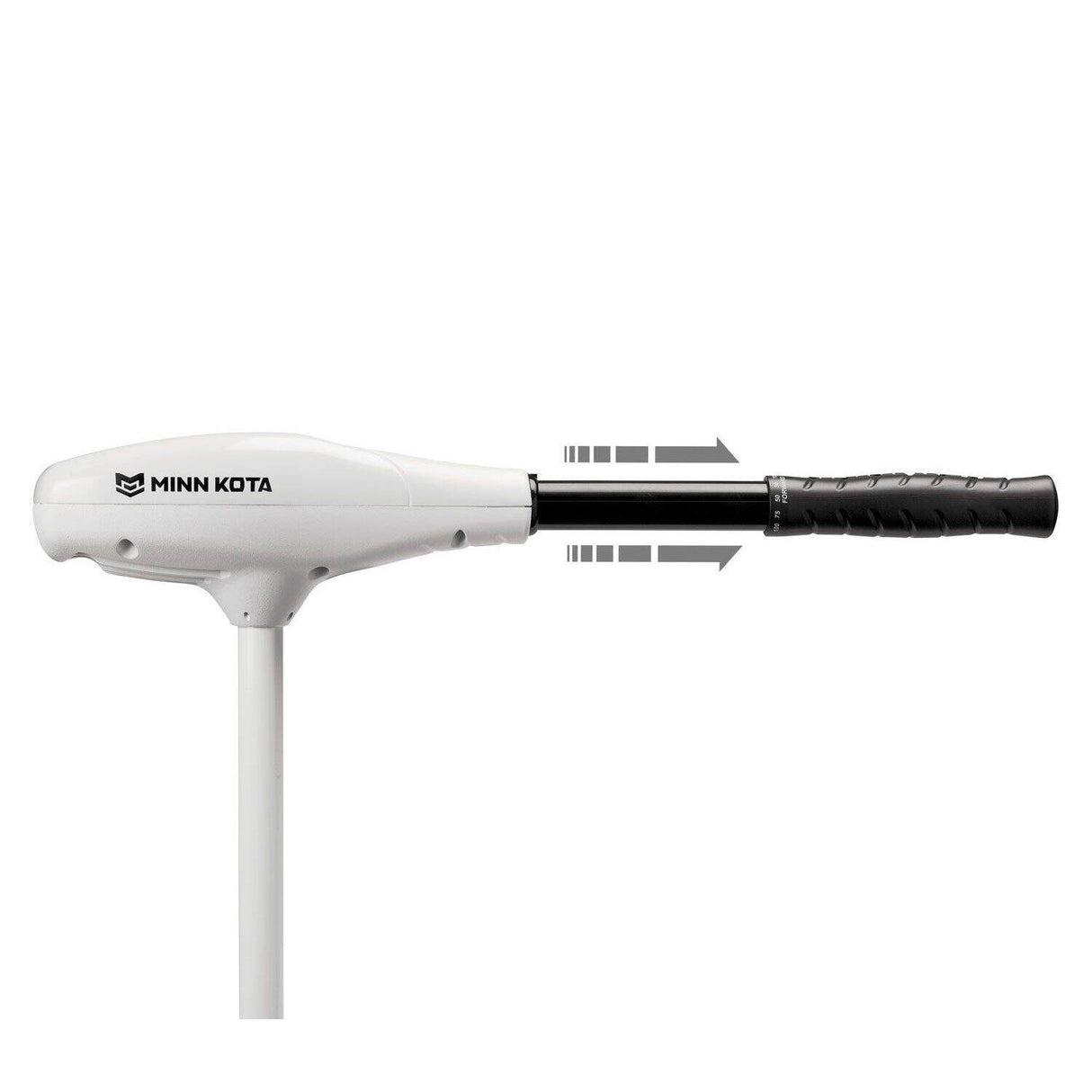 Minn Kota Riptide Endura C2 55 lbs 42" Electric Outboard Motor