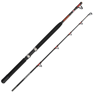 Sea Fishing Rods