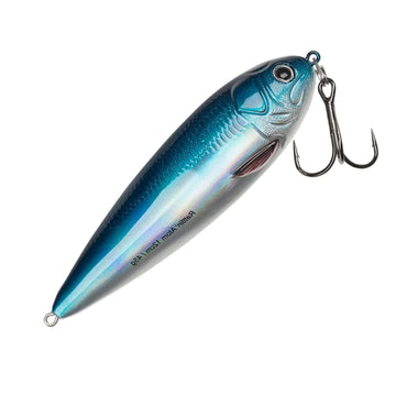 Baltic Herring
