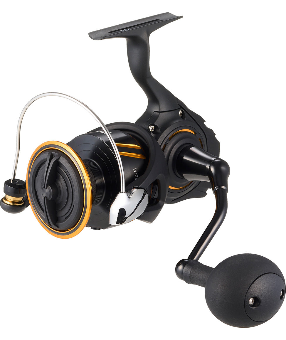 Daiwa 26 BG SW Spinning Reel