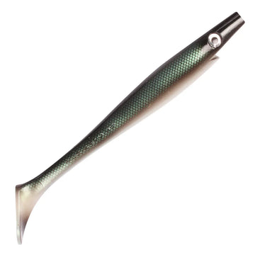 Baltic Herring