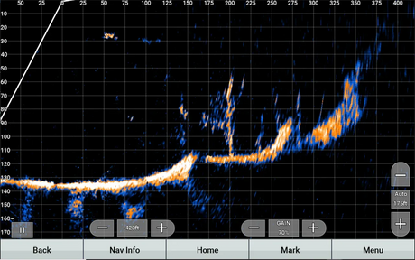 Garmin Panoptix LiveScope XR LVS62 anturi - Happy Angler