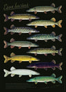 Sakke Yrjölä Hauen Variaatiot juliste - Happy Angler