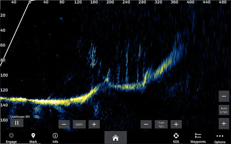 Garmin Panoptix LiveScope XR LVS62 anturi - Happy Angler