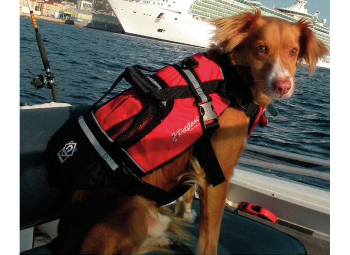 Crewsaver koiran kelluntaliivi