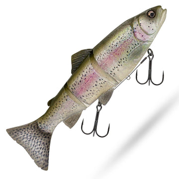 Clear Rainbow Trout