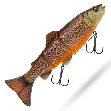 Tiger Trout