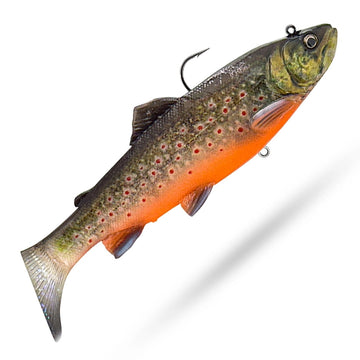 Arctic Char