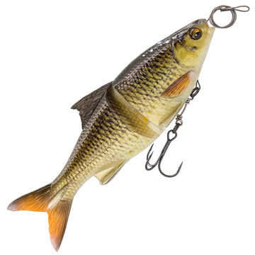 Horny Bream