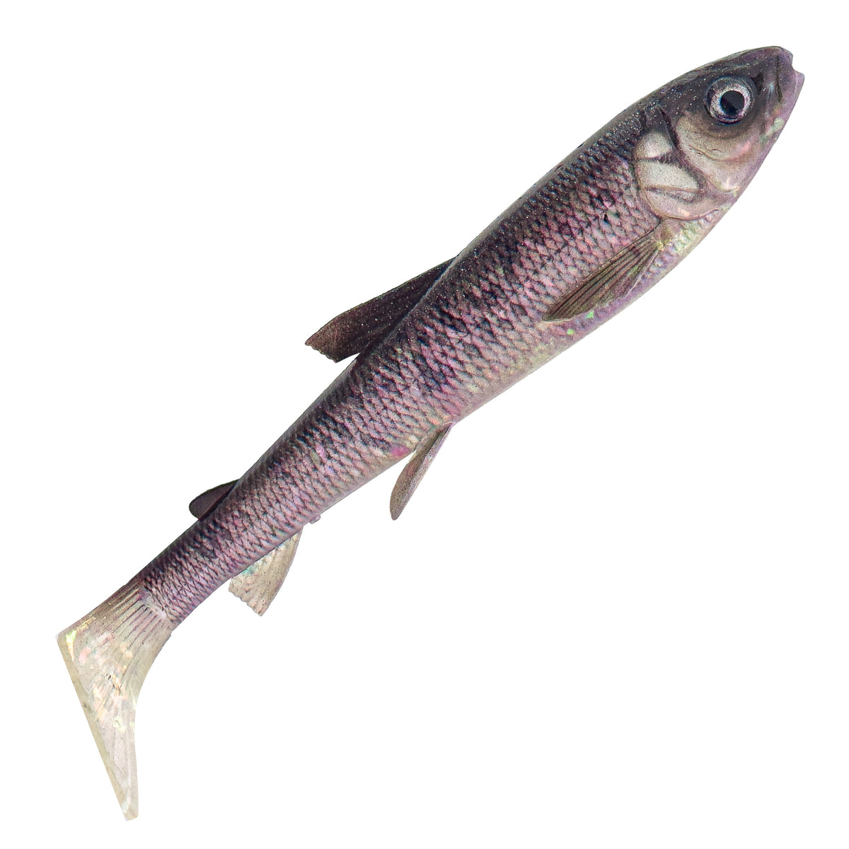 Savage Gear 3D Whitefish Shad 23 cm jigi
