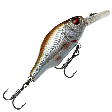 Roach