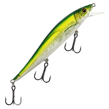 Olive Minnow